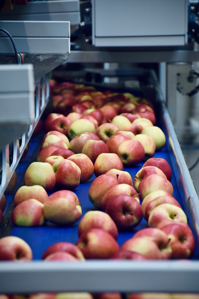 Storage and warehousing for export commodities